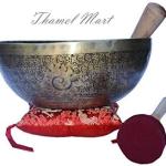 11 Inch Finest Meditation Mantra Carvsinging bowl, etching Tibetan Art and Budha, Singing Bowl With Drum