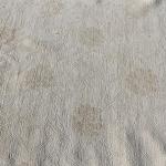 Thamel Mart R2537/021 Exclusive Handmade Neutral Color Tibetan Wool and Silk Area Rug 6' X 9' Handmade in Nepal