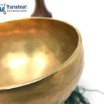 10" Large Master Healing Hand hammered Tibetan Singing Bowl ~ Great for Meditation, Yoga, Sound Bath, Mindfulness, Relaxation ~ Cushion, Wooden Mallet & Drumstick Included